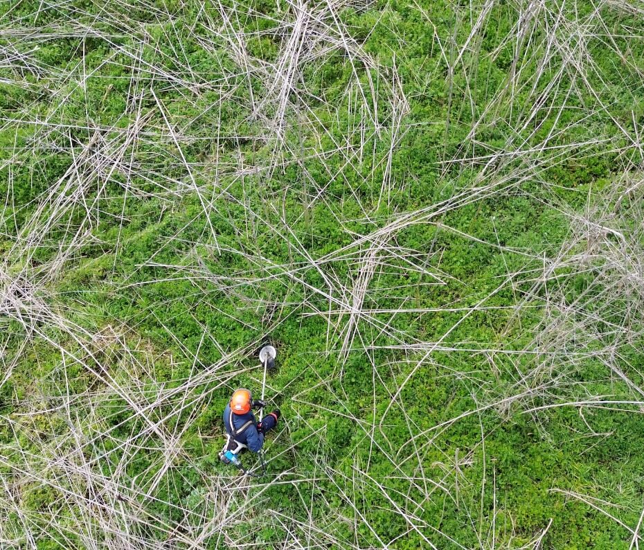 生い茂った草地で作業する除草現場の作業員